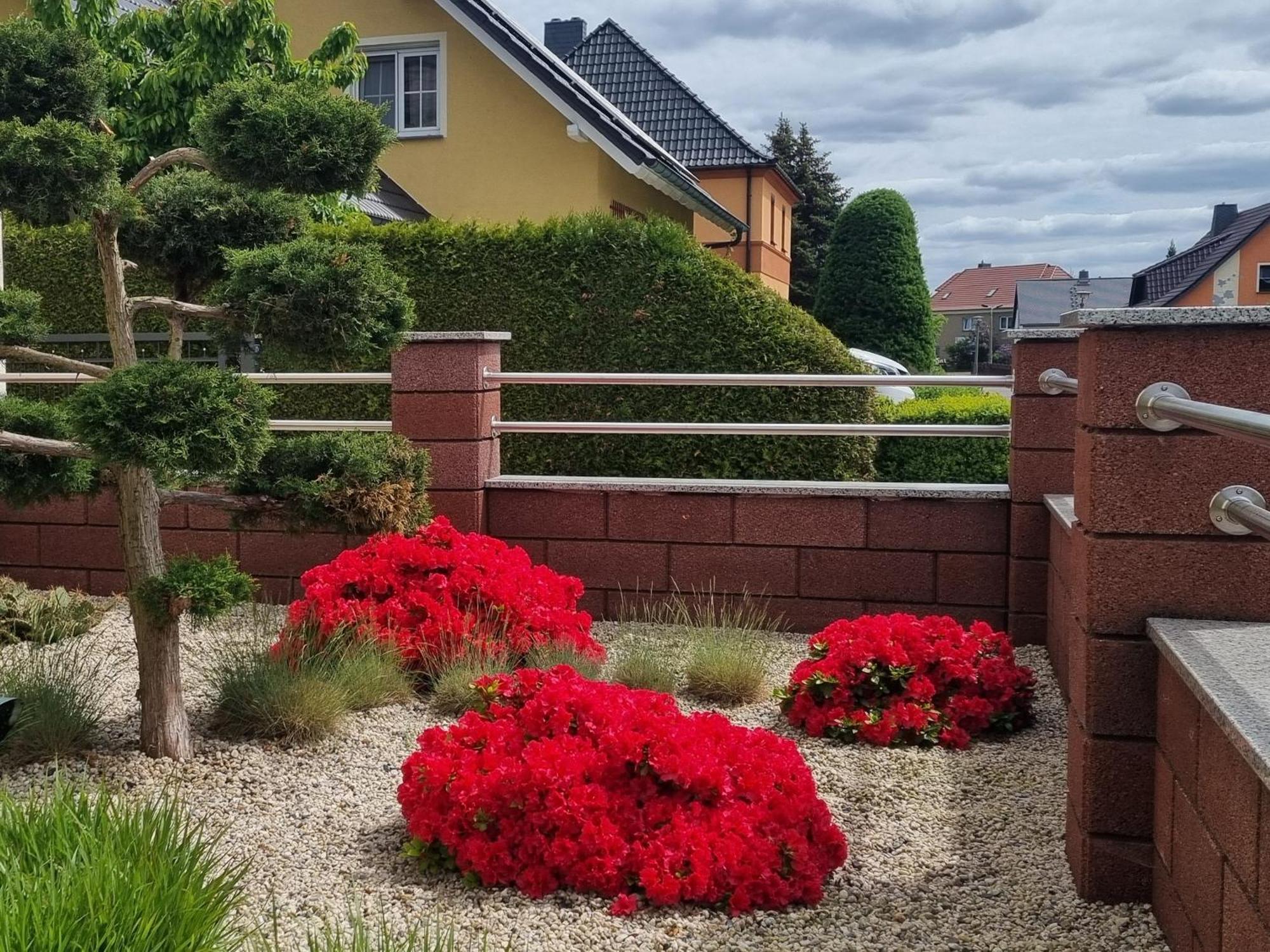 Ferienwohnung *Zur Weinbergstrasse* Lauta 외부 사진